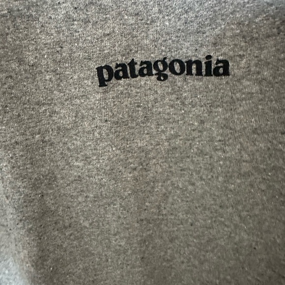 Patagonia Gray Mountain Graphic Tee - Picture 3 of 6